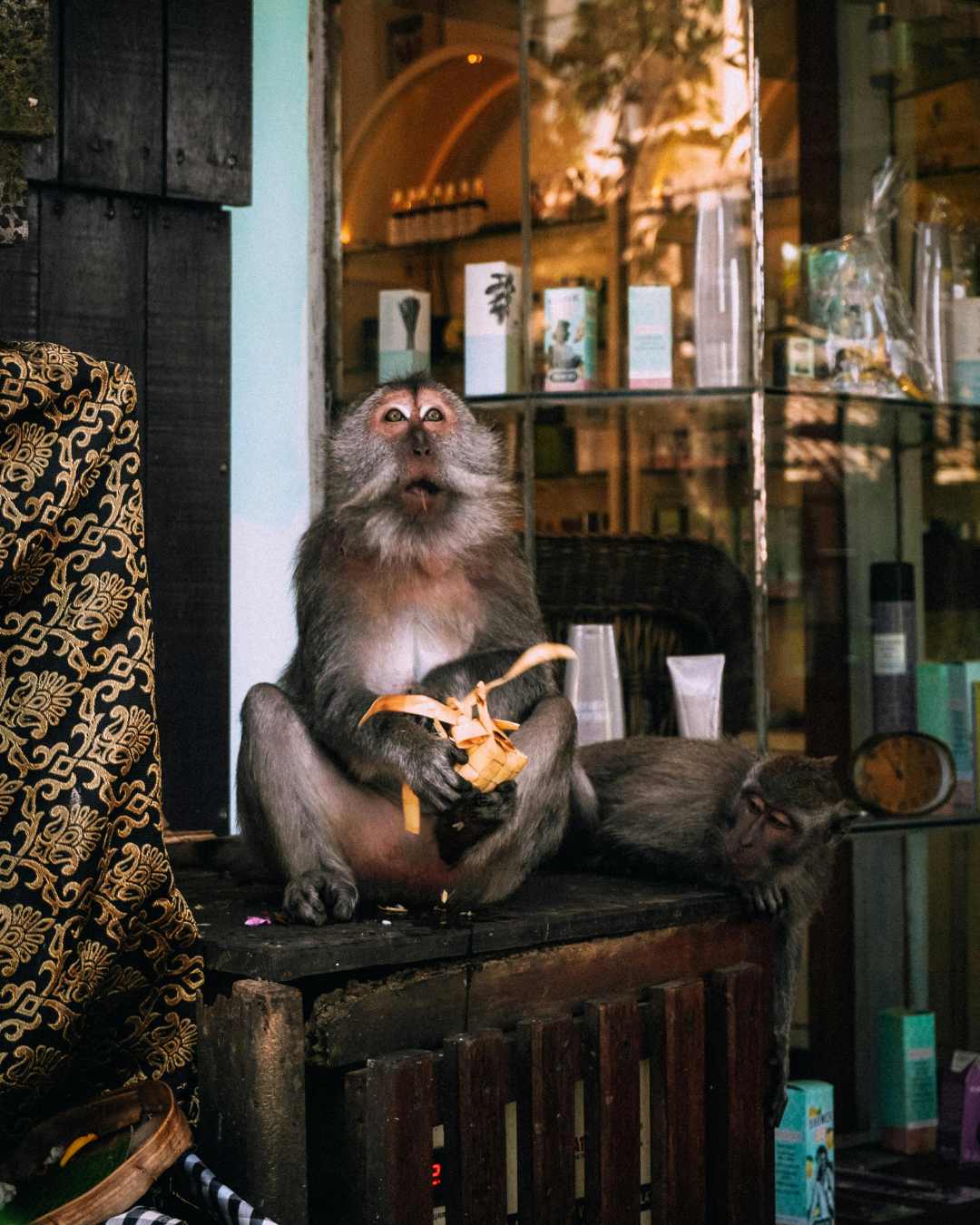 Avoid Tourist Traps in Southeast Asia: 2026 Scam Safety Guide