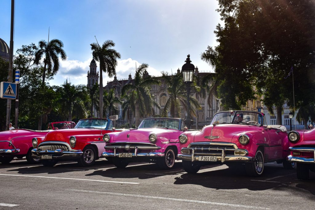 Vibrant pink vintage cars line the streets of Havana, Cuba, with palm trees and historic architecture in the background.