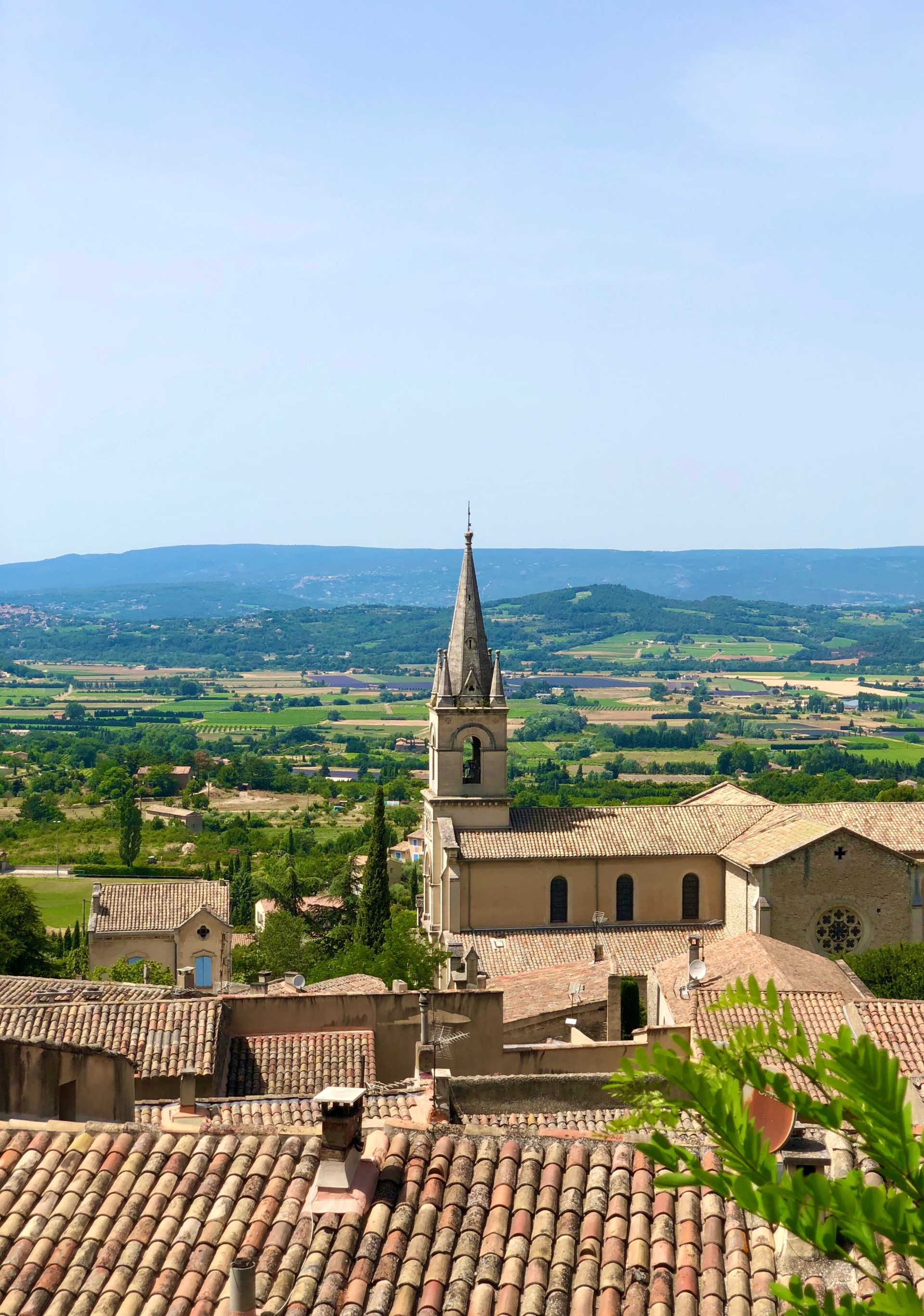 Provence Lavender and Local Food: What the Region Actually Tastes Like