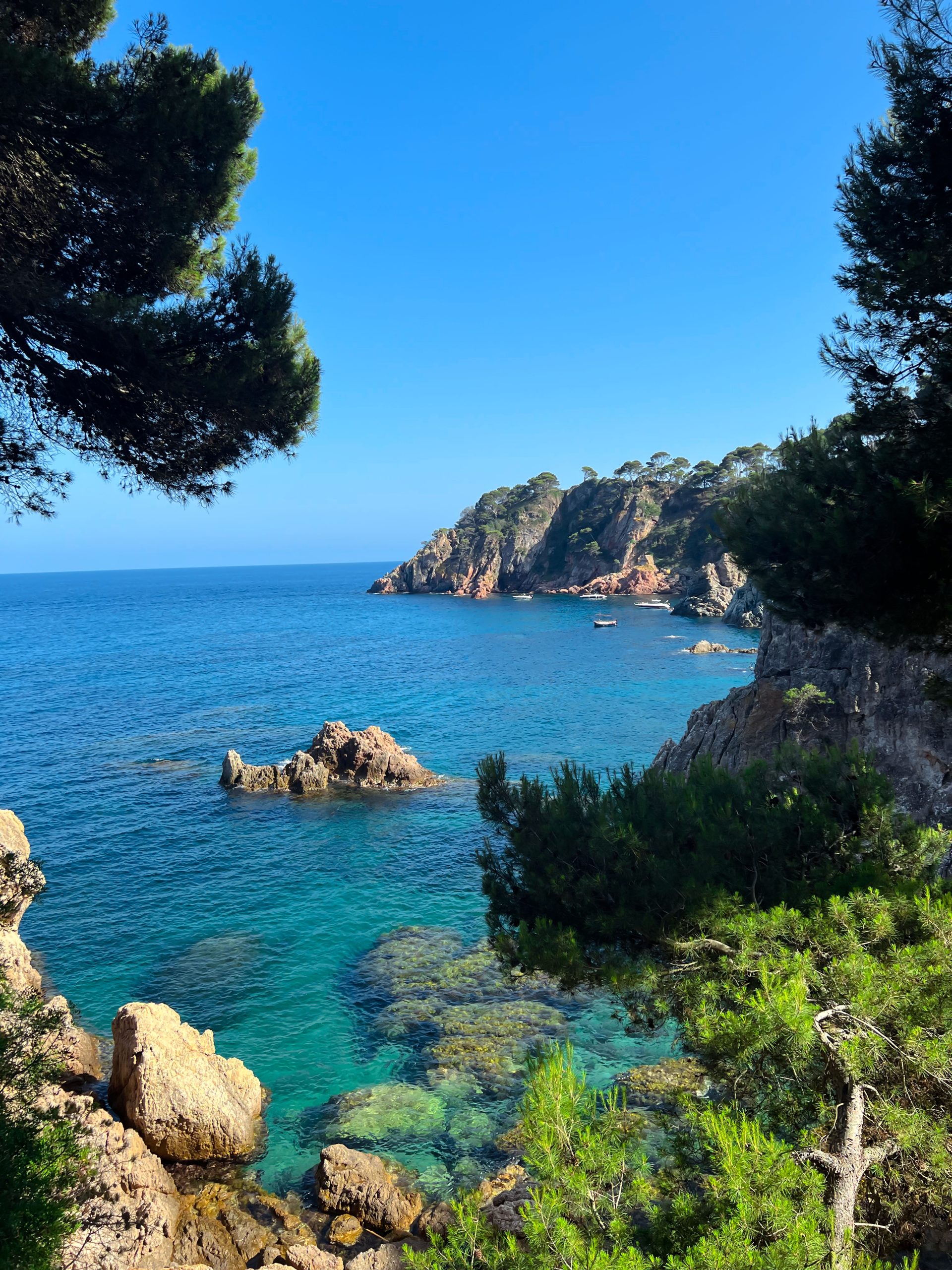 Clifftop coastline on the Costa Brava