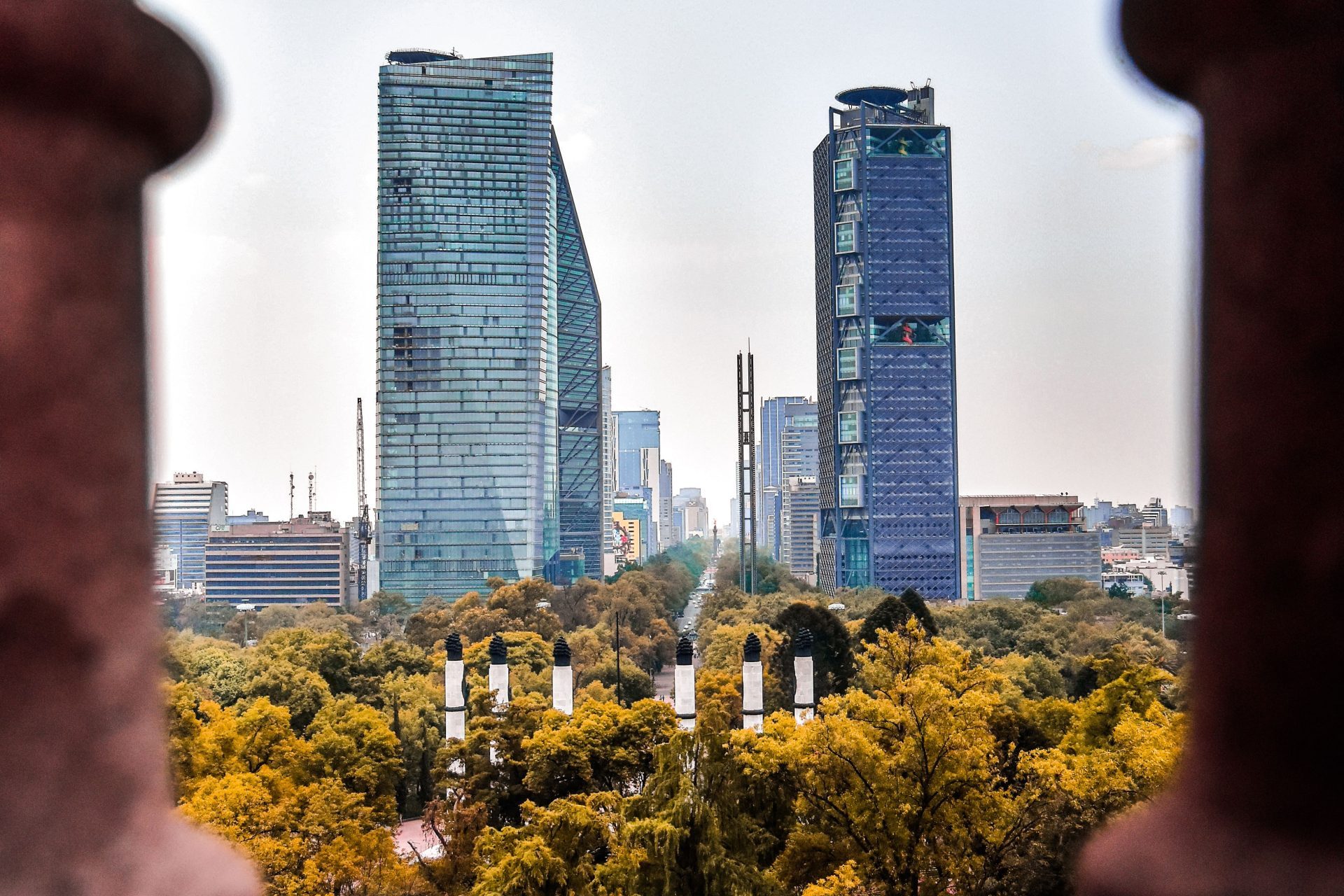 Glass towers along Paseo de la Reforma rising above the treetops in Mexico City