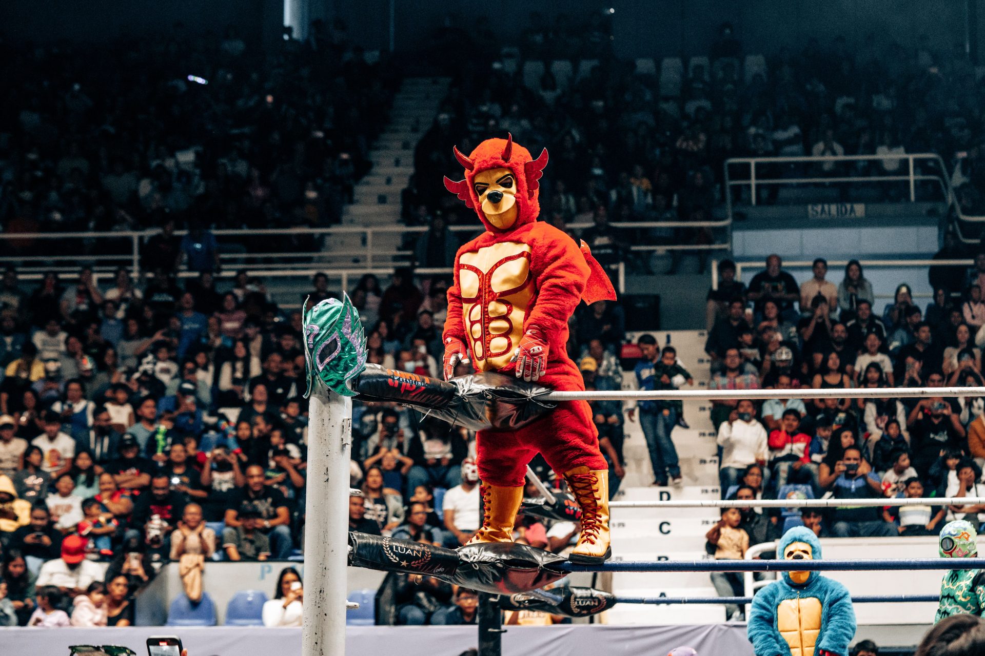 A masked lucha libre wrestler in the ring in front of a packed crowd