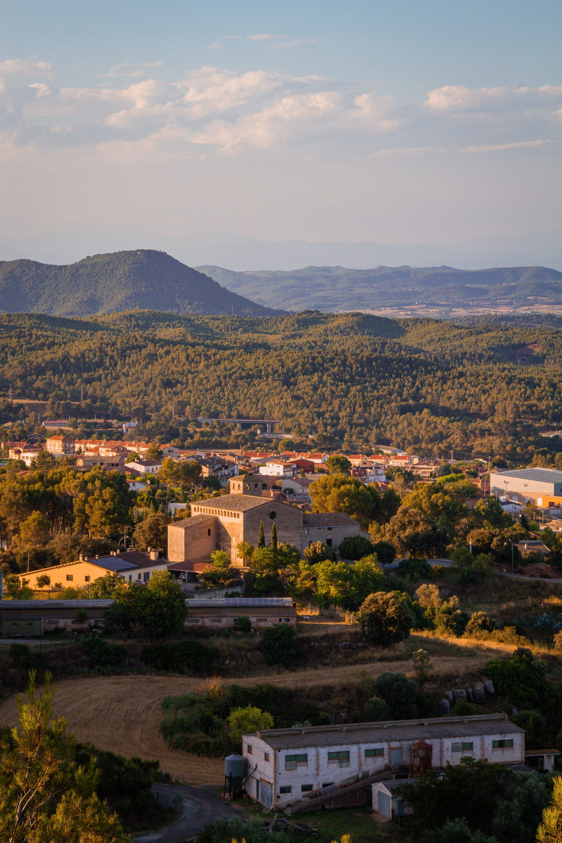 Vineyards on rolling ground in the Penedes region