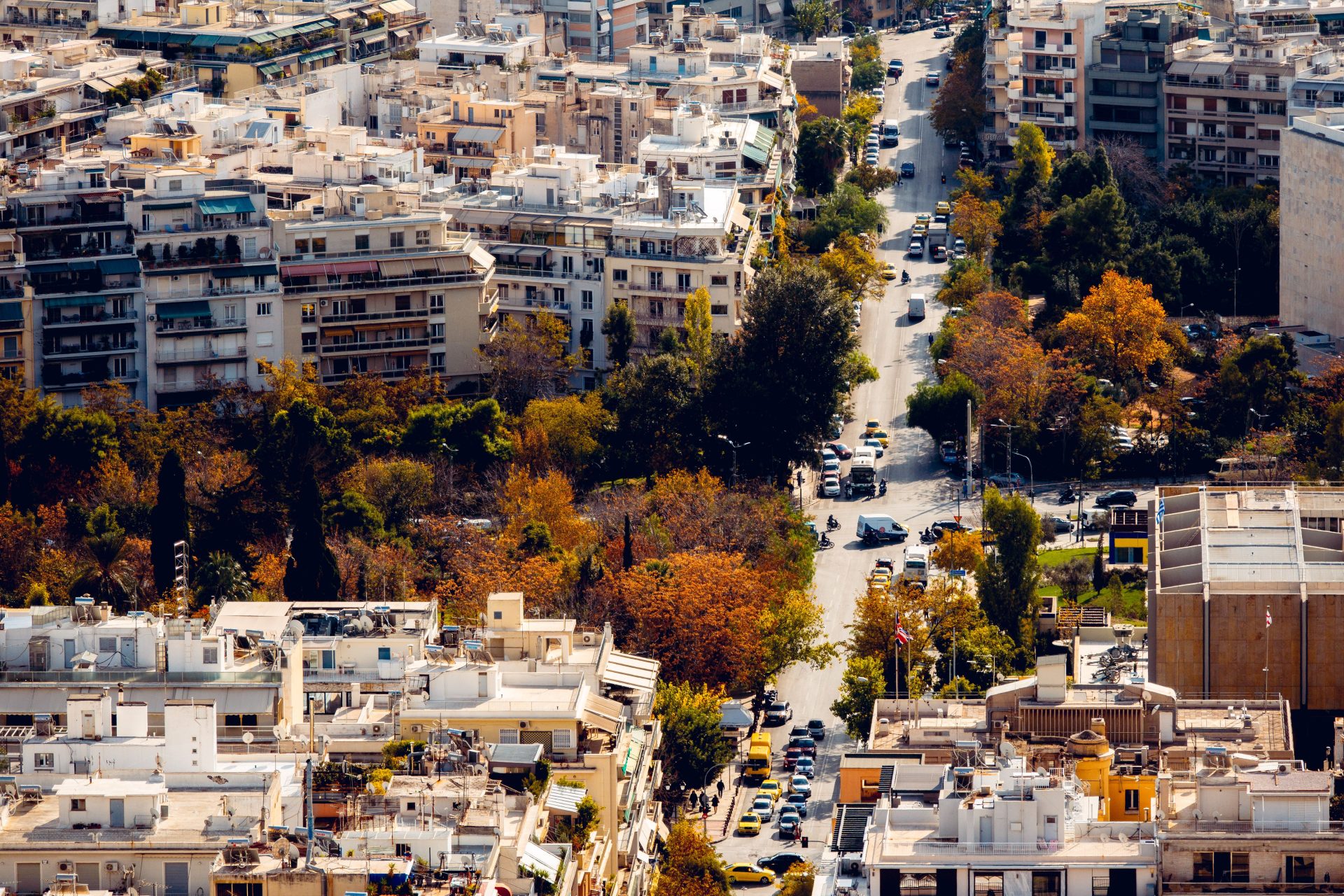 Rooftops and tree-lined streets in a neighbourhood that was not built for visitors.