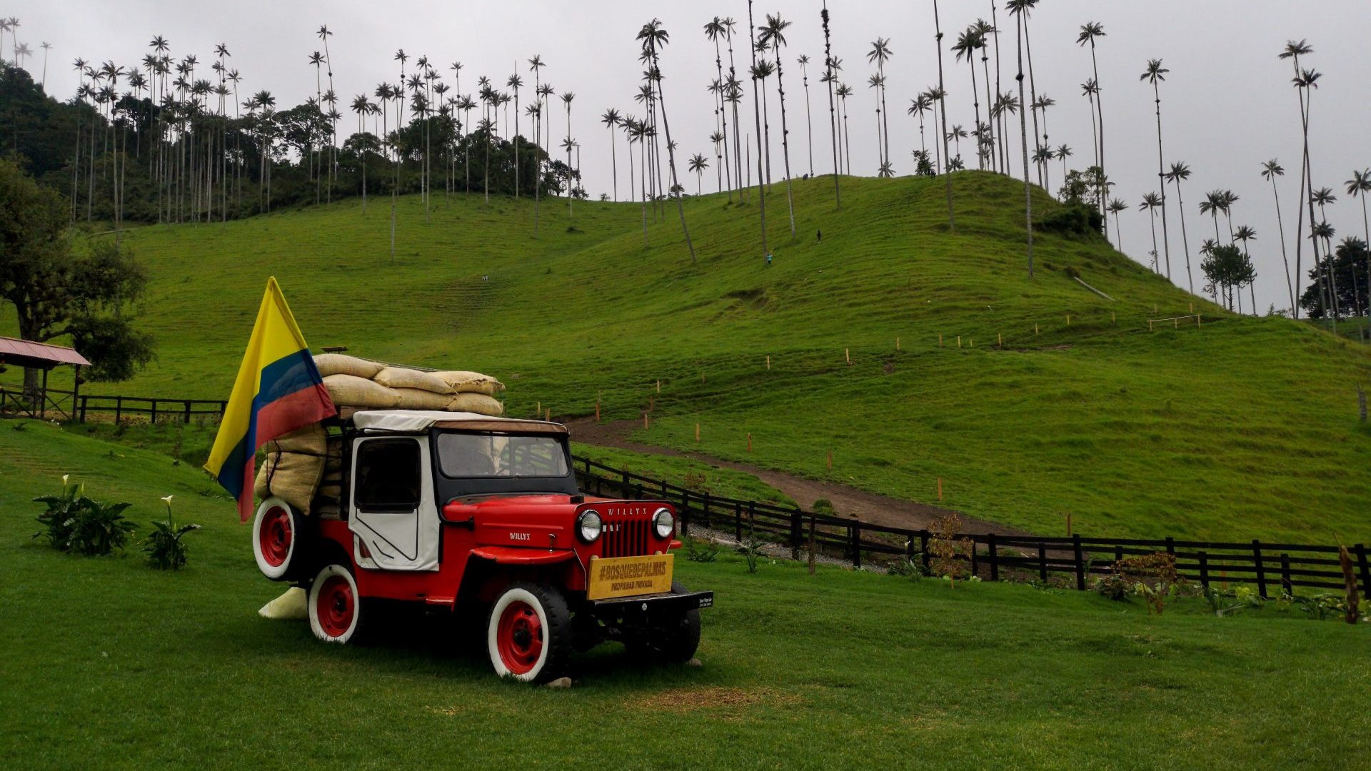 Colombia Coffee Region Guide: The Eje Cafetero Beyond the Bag of Beans