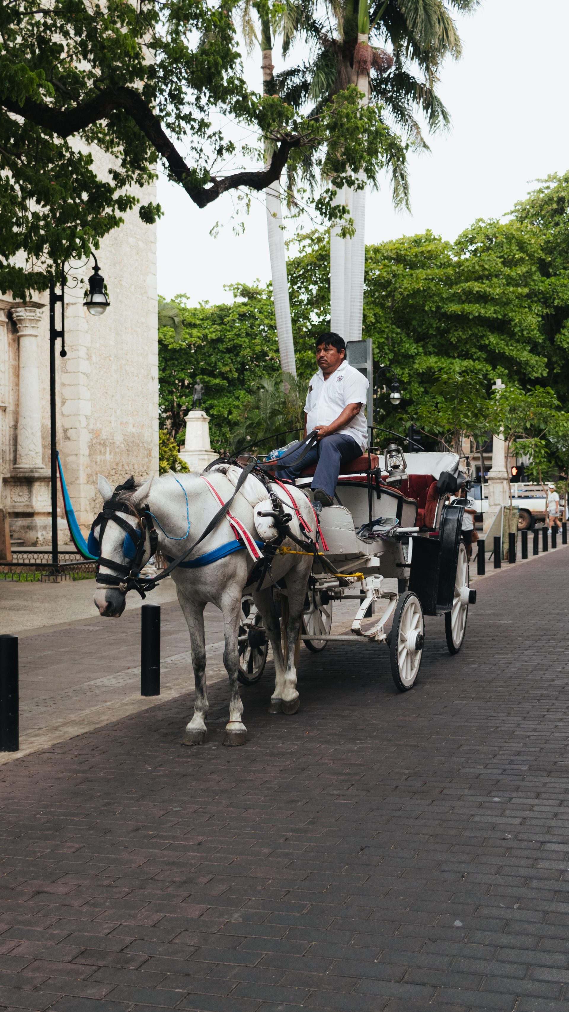 A horse-drawn carriage on a cobbled street in the walled city of Cartagena