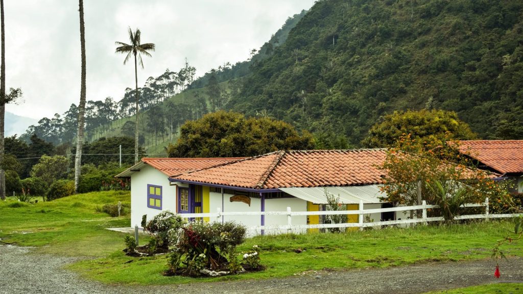 A white farmhouse with wax palms rising on the hillside behind it in the Cocora Valley