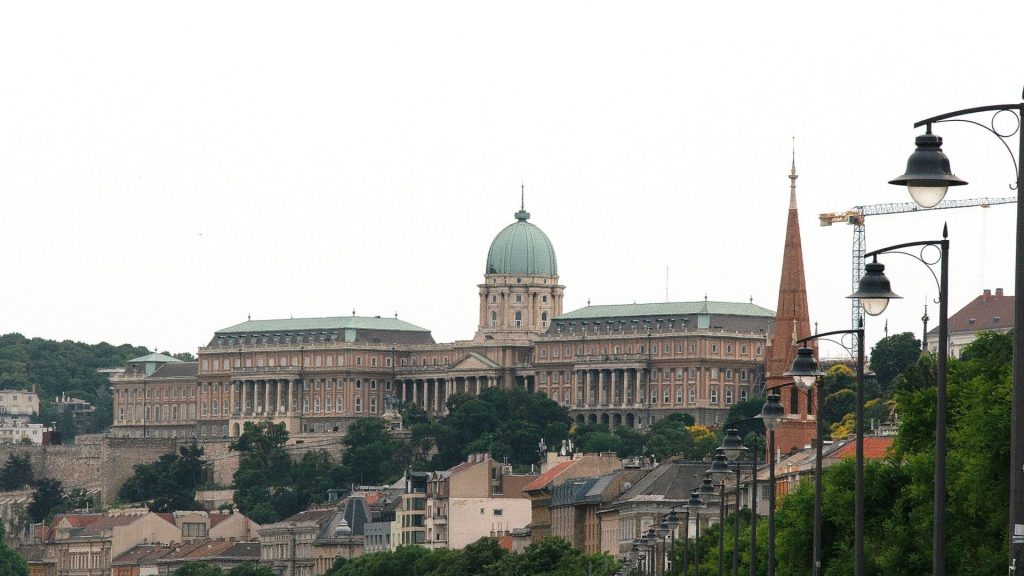 Buda Castle and church spires above the trees
