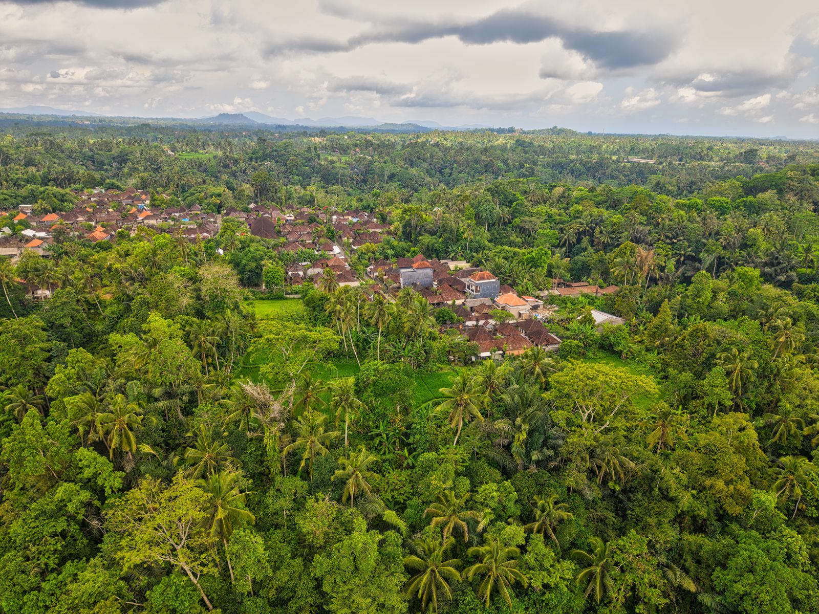 Aerial view of lush forest and a traditional village in Bali
