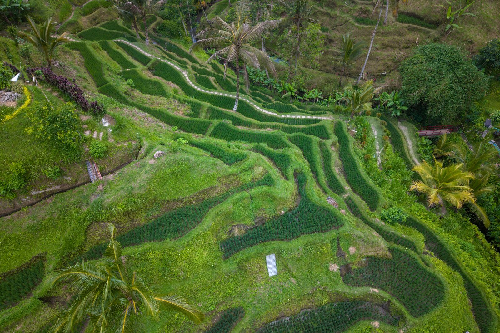 Where to Stay in Bali: Pick the Right Area First