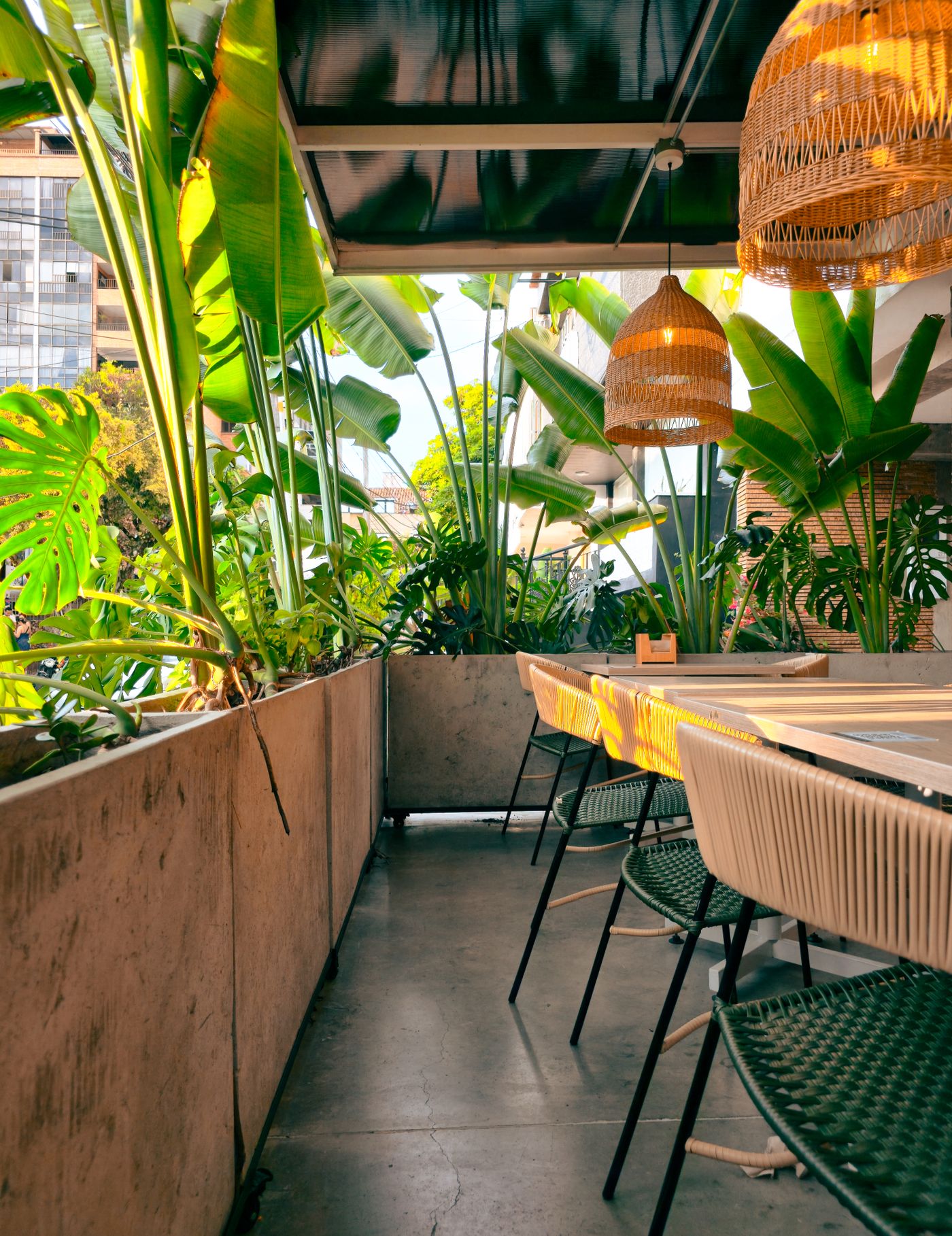A planted cafe terrace in Medellin with long tables, rattan pendant lights and banana plants