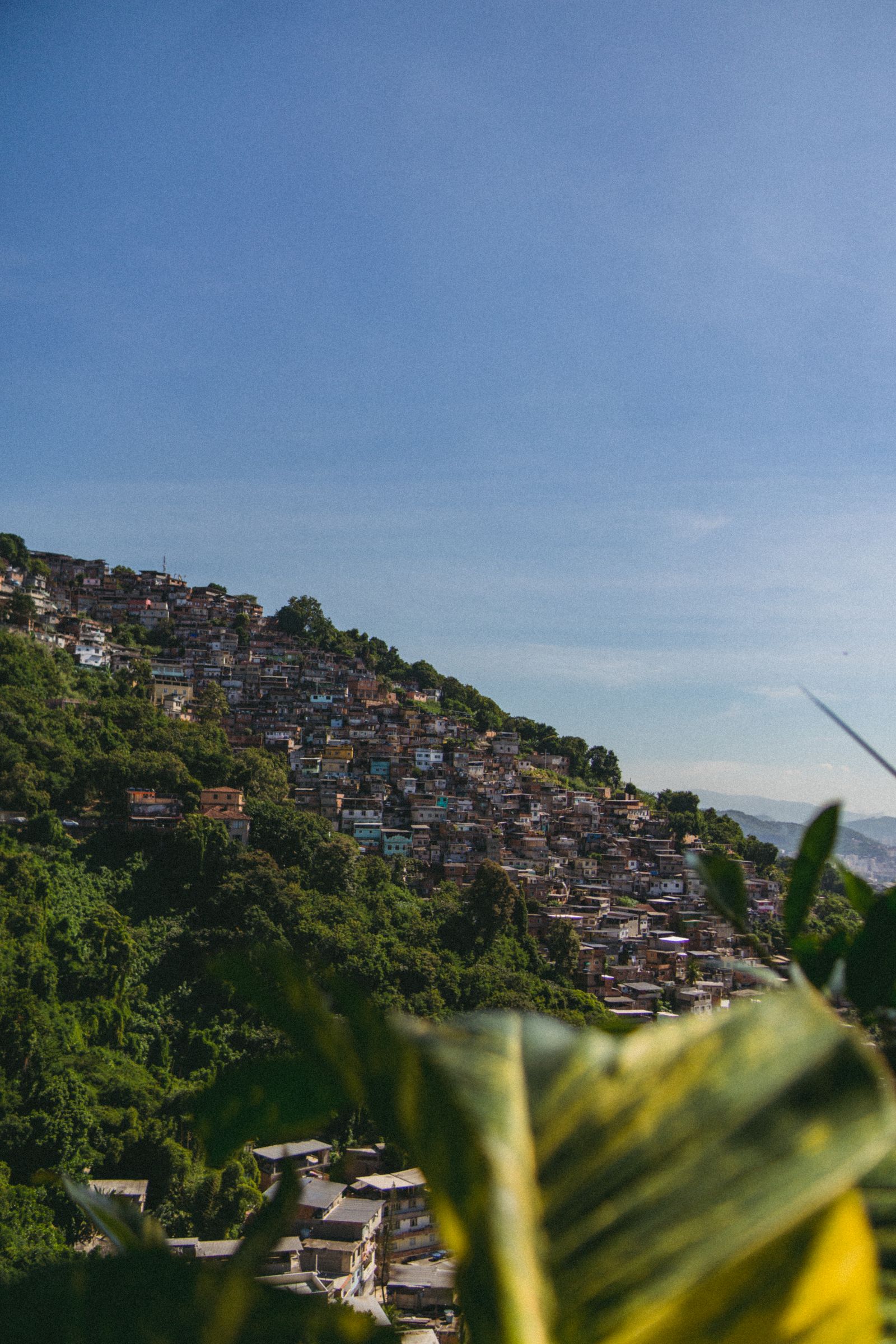 The lush hills of Rio de Janeiro and its hillside communities