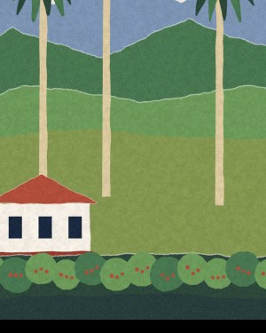 House of Routes coffee region stamp: torn-paper collage of wax palms and a red-roofed finca below the green cordillera