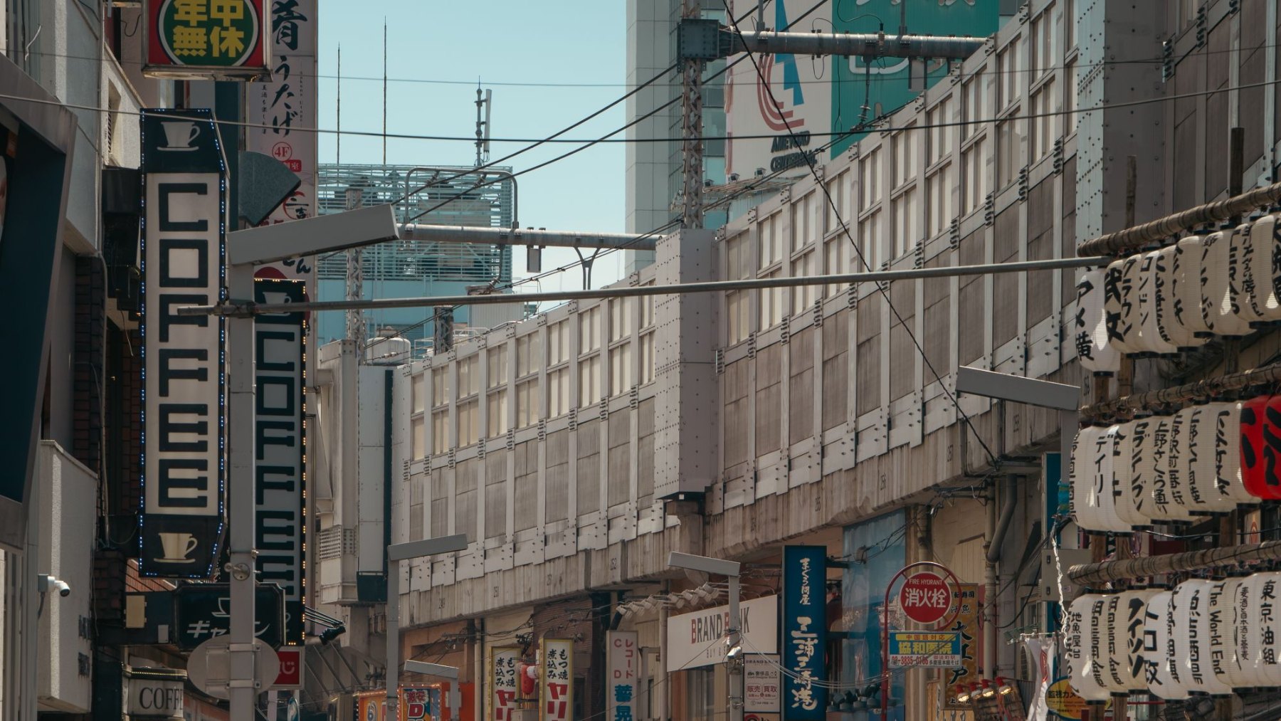 Things to Do in Tokyo: A City of Neighbourhoods