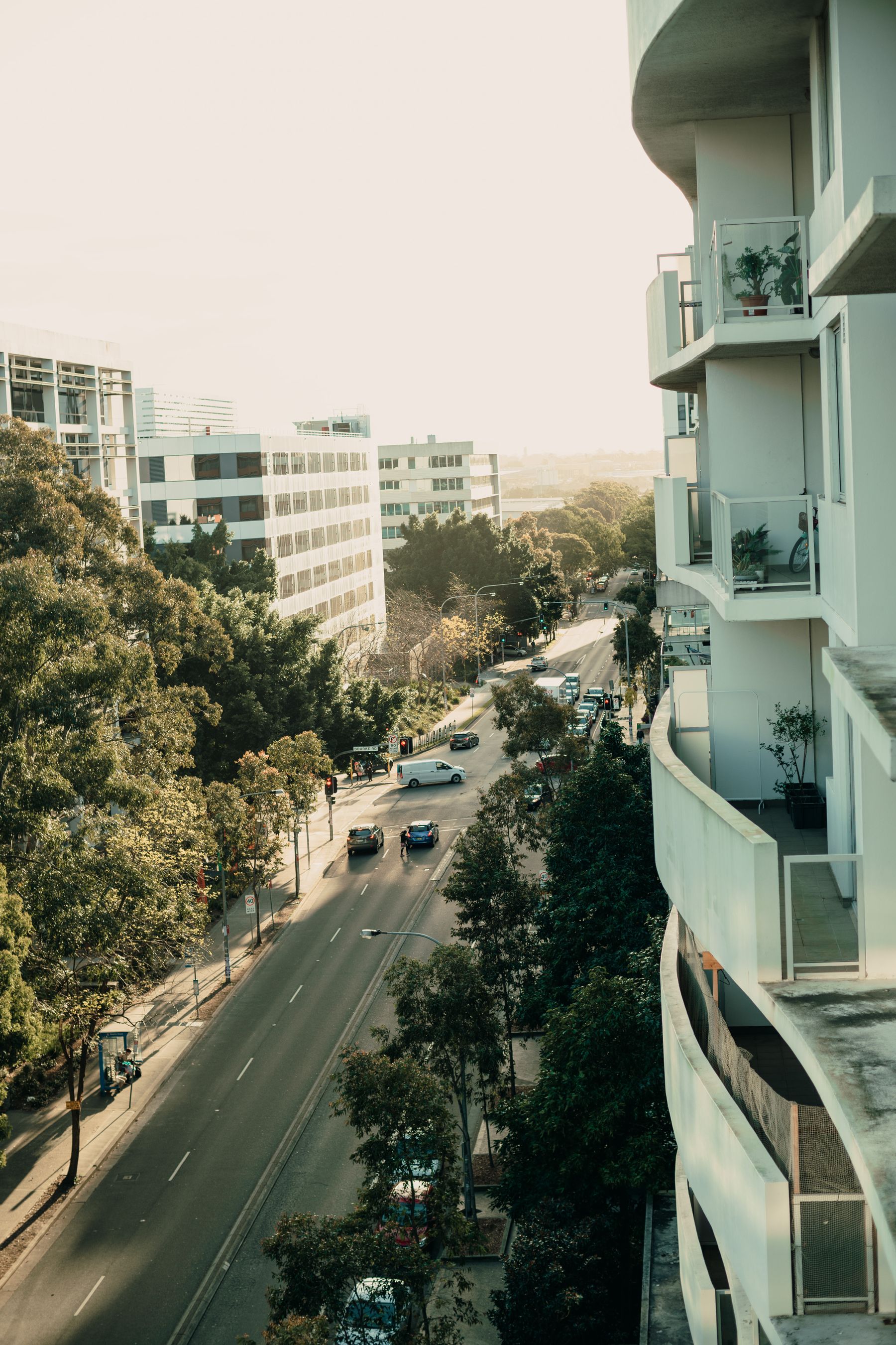 Leafy residential street illustrating where to stay in Mexico City