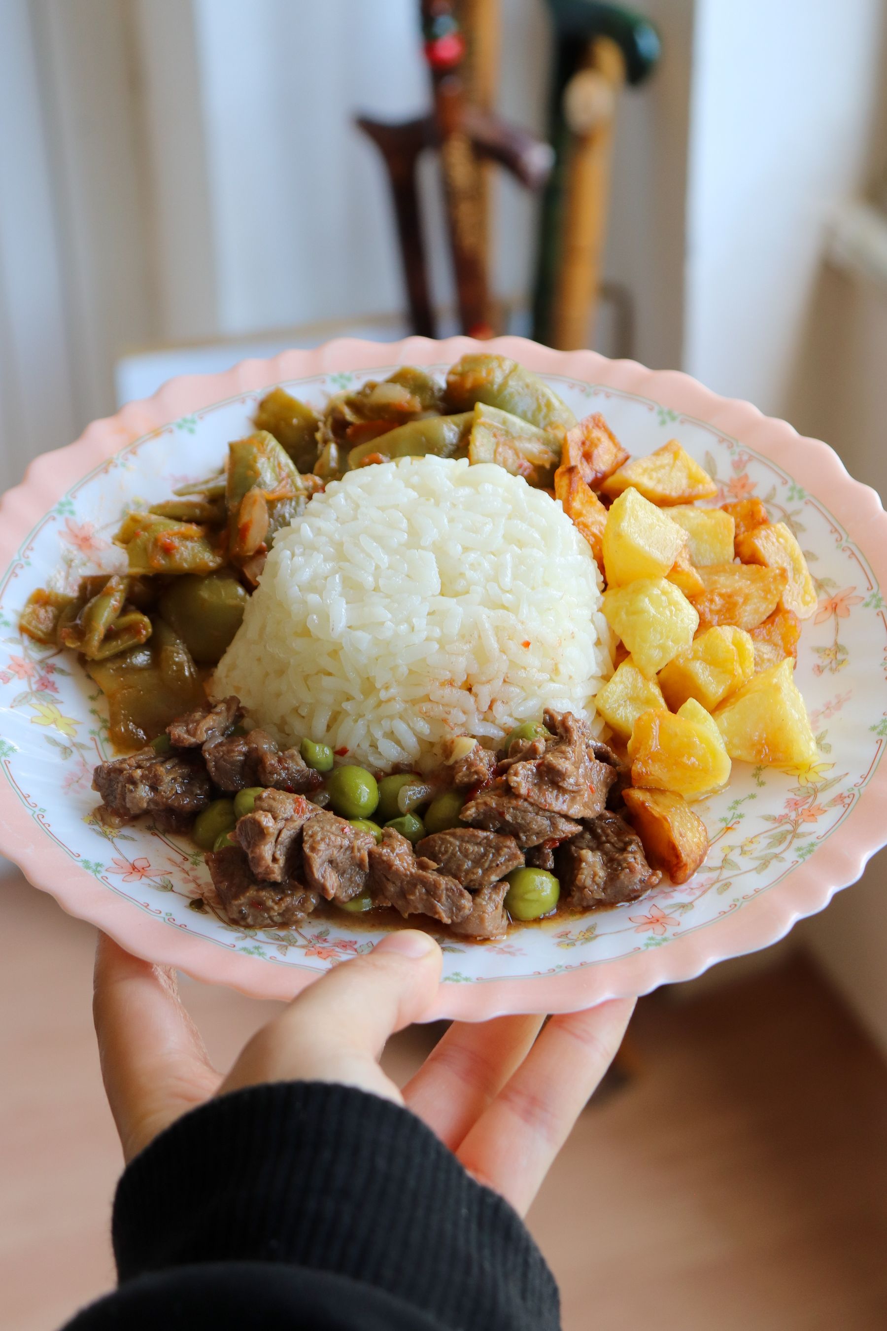A plate of rice, vegetables and beef held in one hand