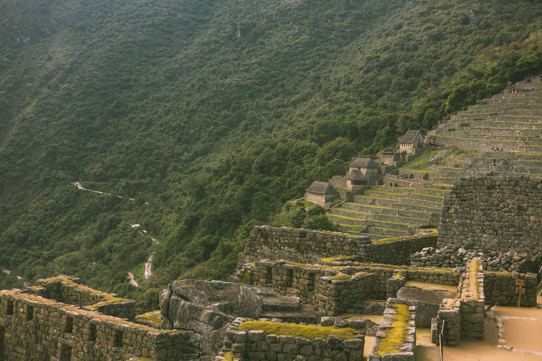 A panoramic view of the terraces and stone architecture of Machu Picchu