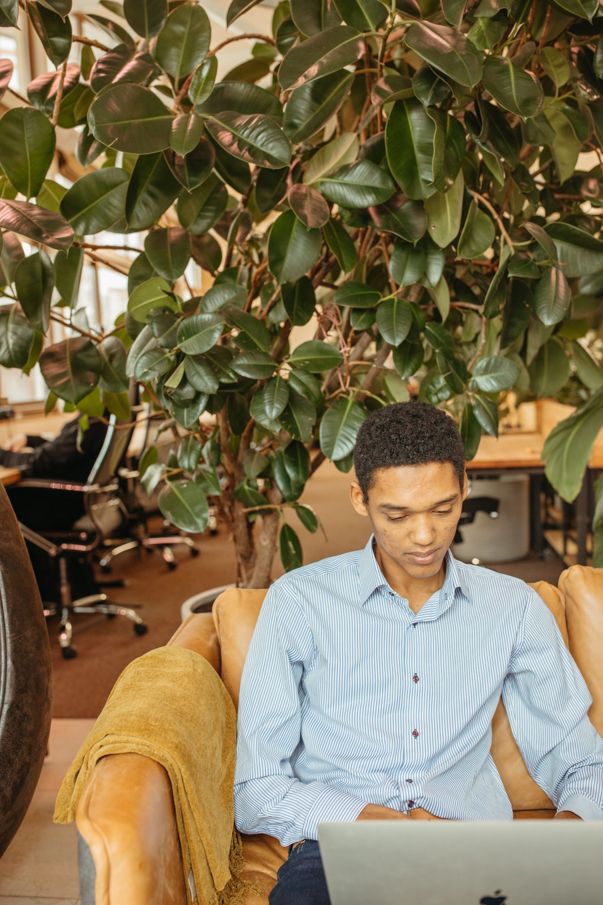 A man working on a laptop in a plant-filled coworking space