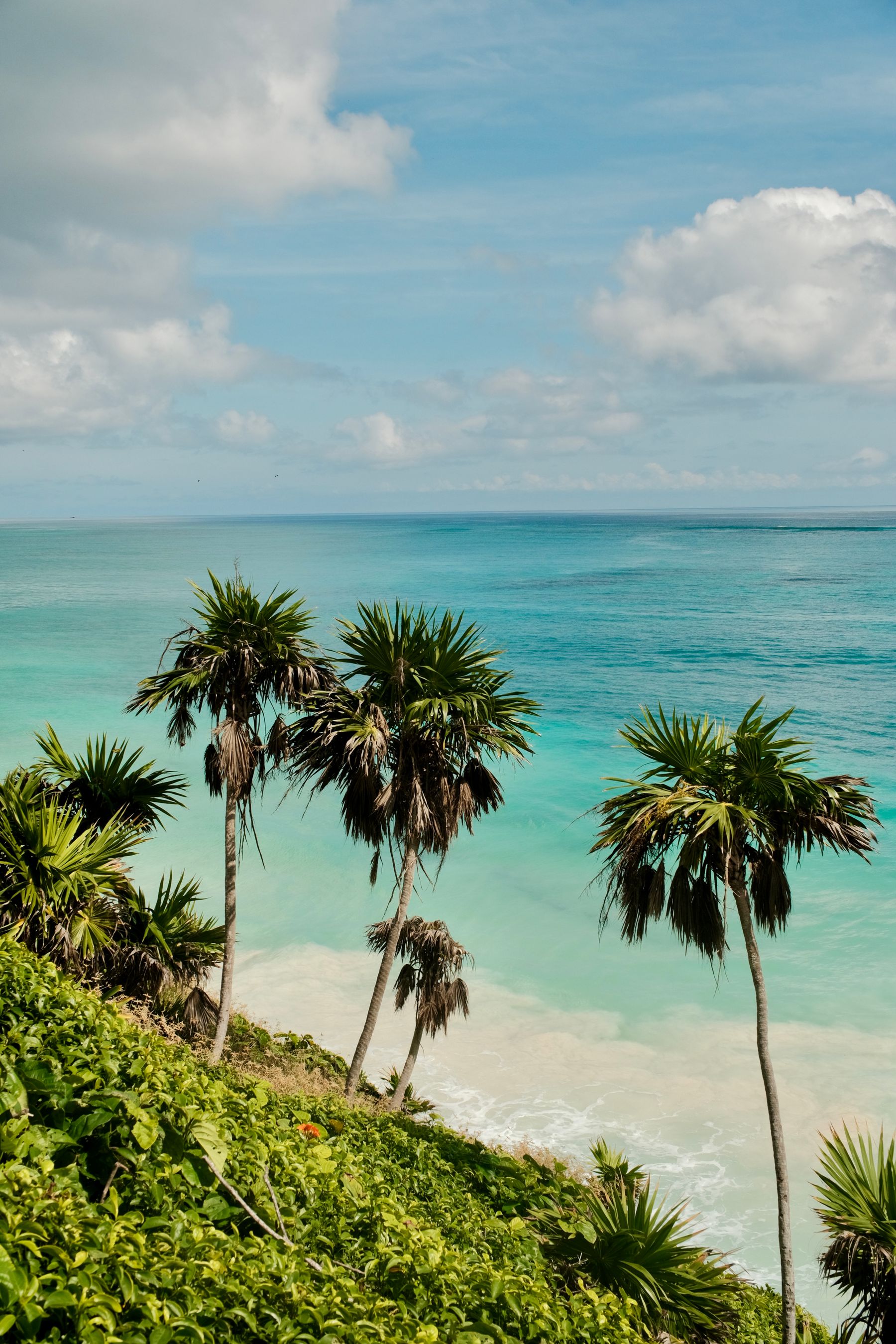 A calm Caribbean beach at Tulum with palm trees and turquoise water