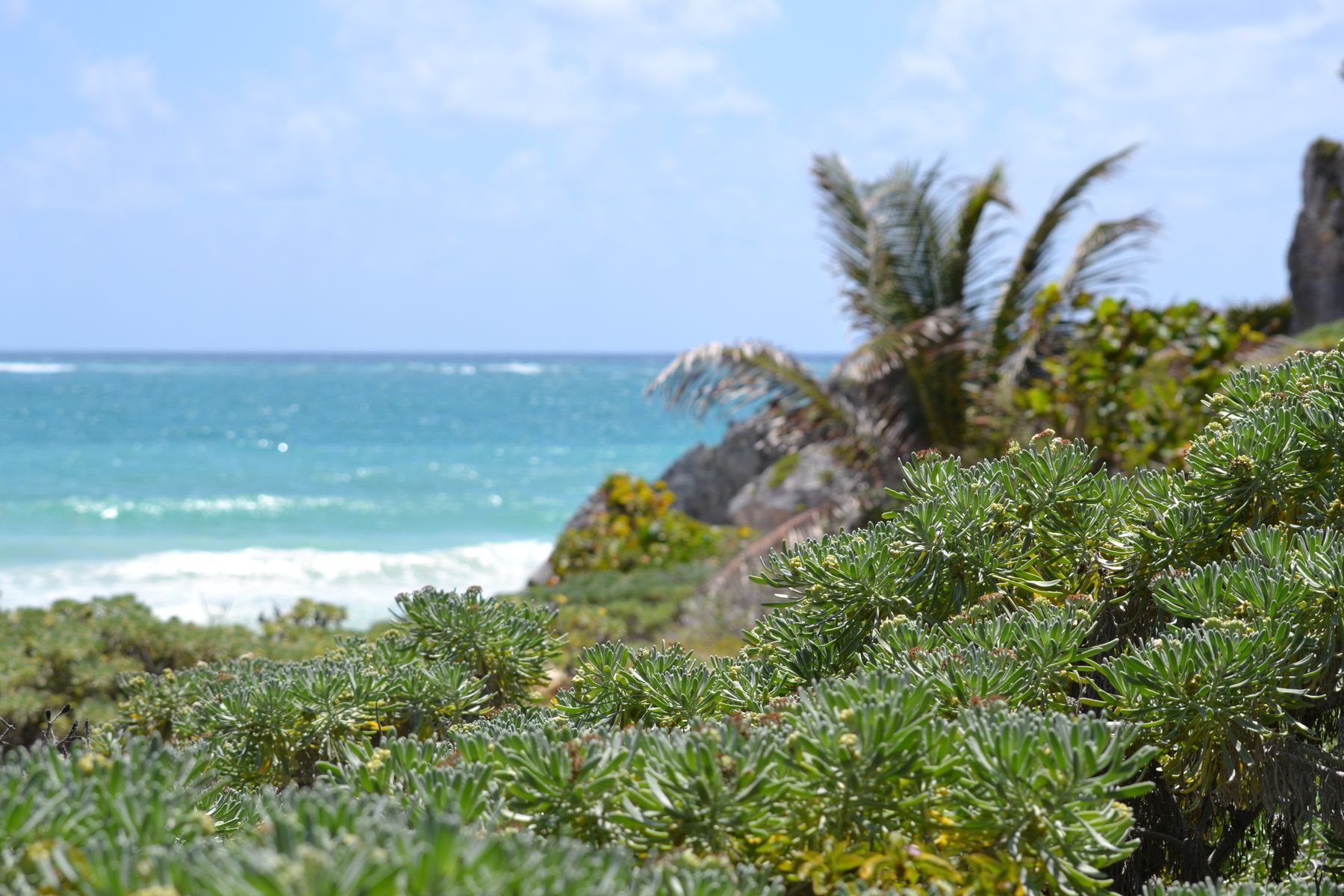 Tulum Travel Guide: What Nobody Tells You Before You Book