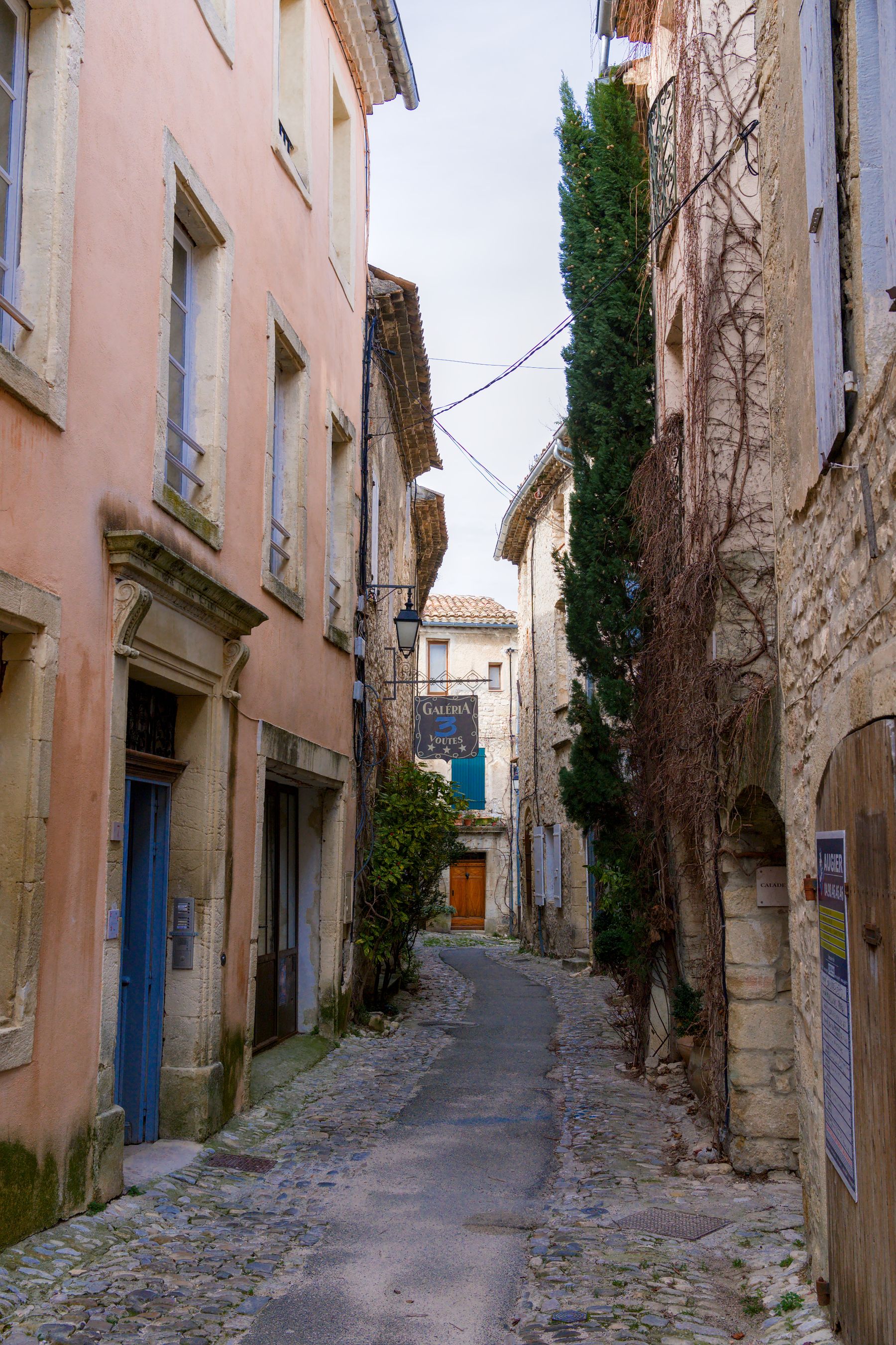 An ochre village house with pastel shutters and climbing greenery on a narrow southern French street