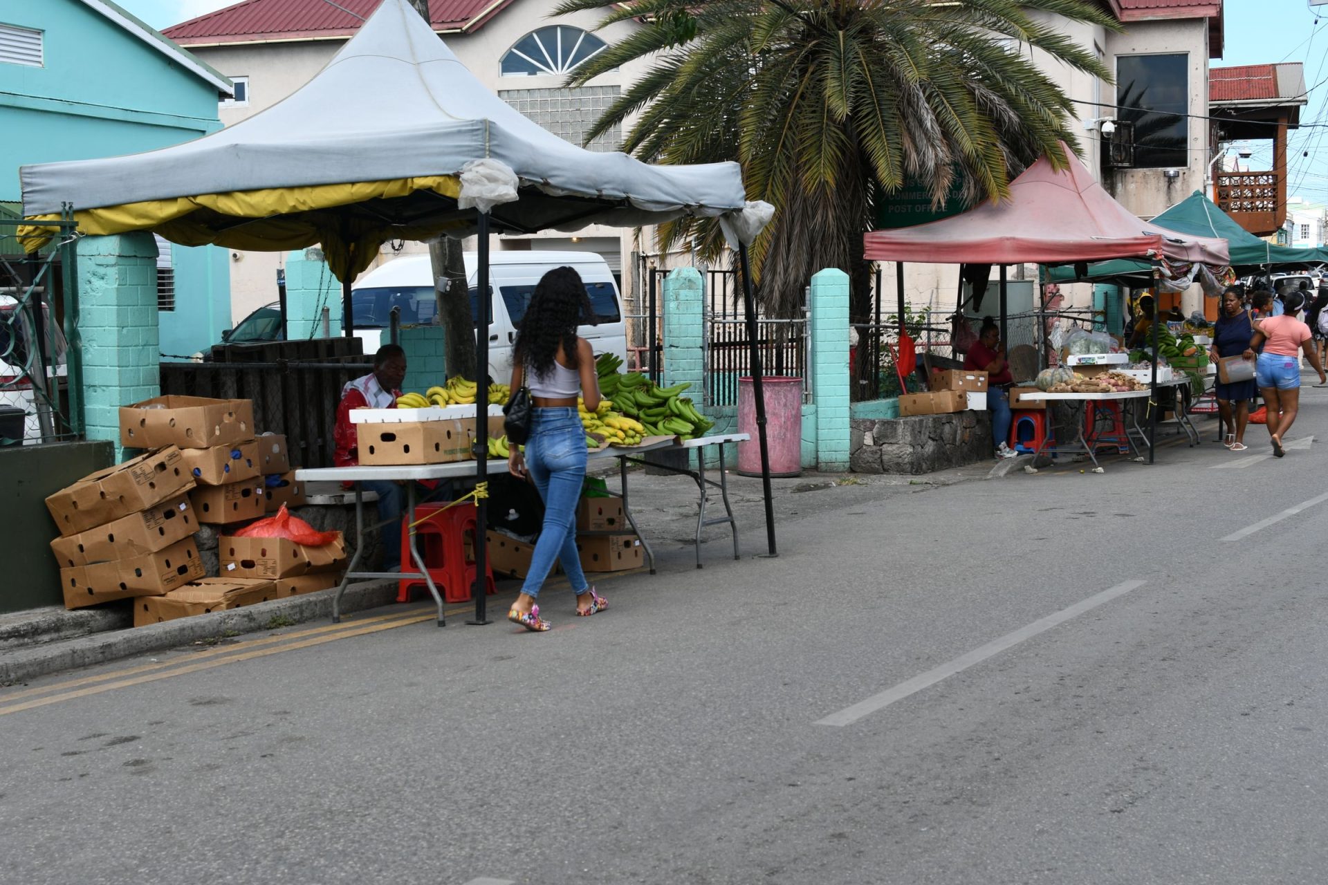 An outdoor market in Saint John with shoppers buying fresh produce