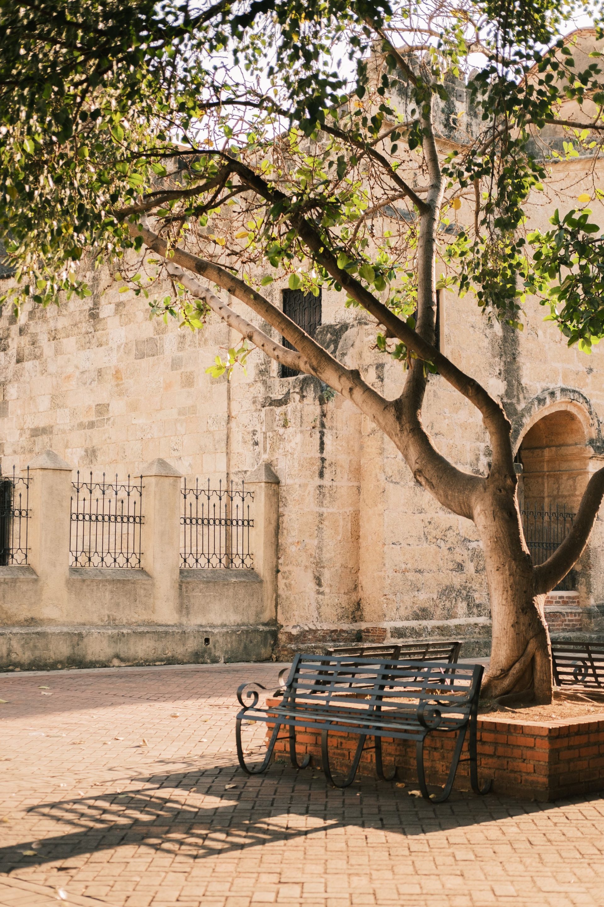 Sunlit square in Santo Domingo with benches and a historic facade