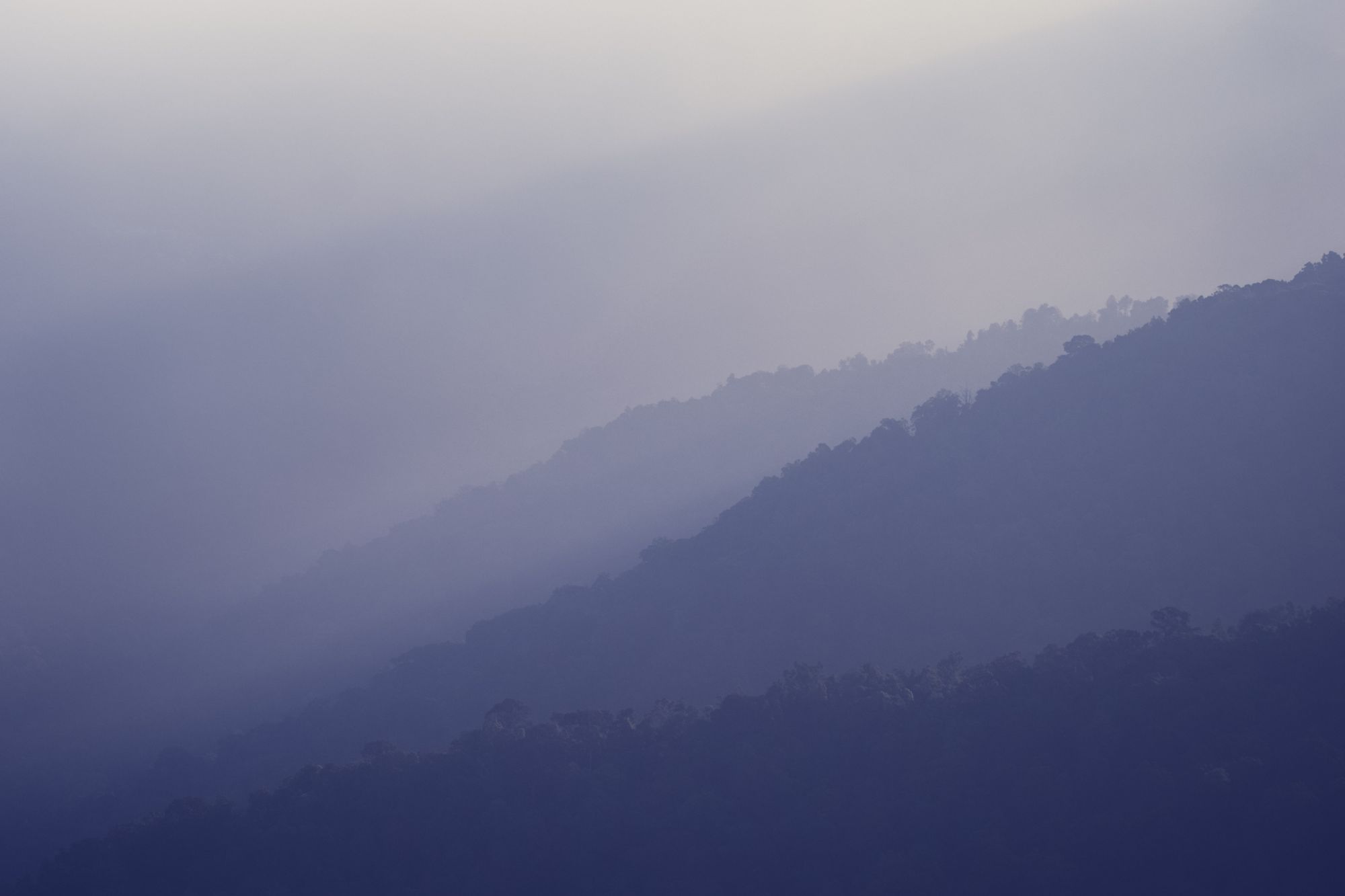 Morning mist lying over forested hills in the cool season
