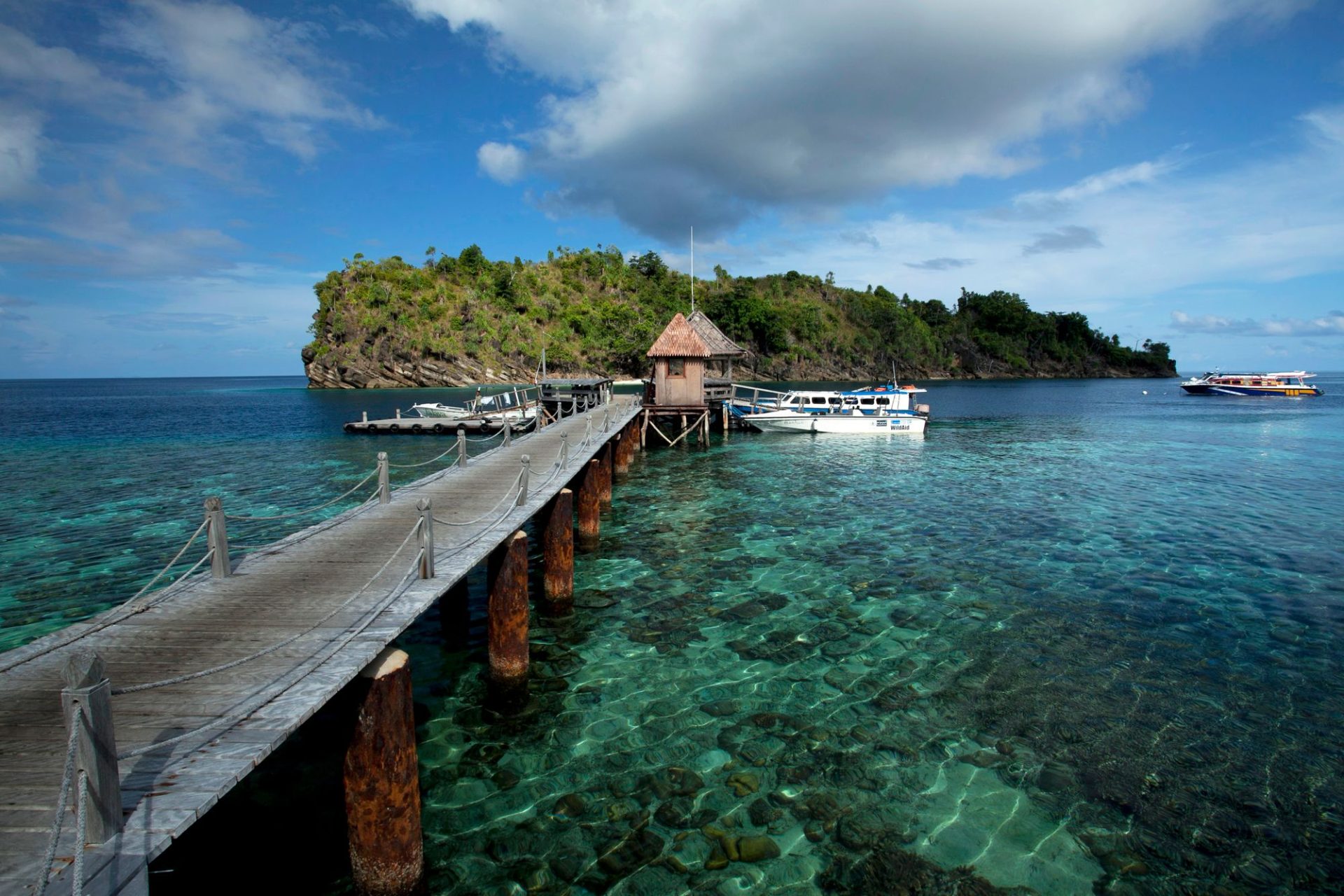 A wooden pier running out towards a green island