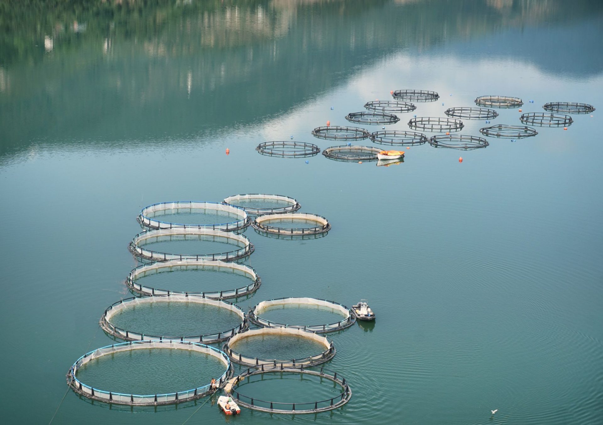 Seaweed farm plots laid out in the shallows between islands
