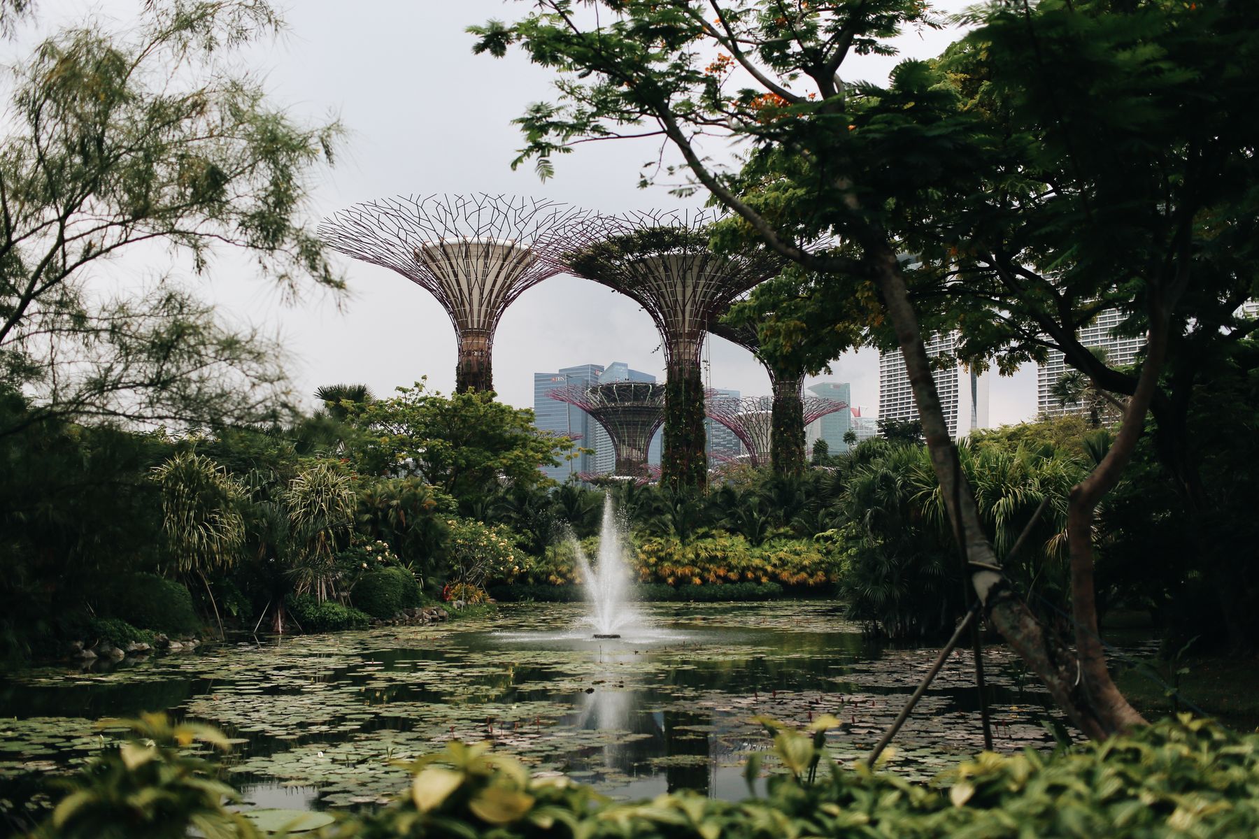 Tall garden structures above a pond in a tropical city