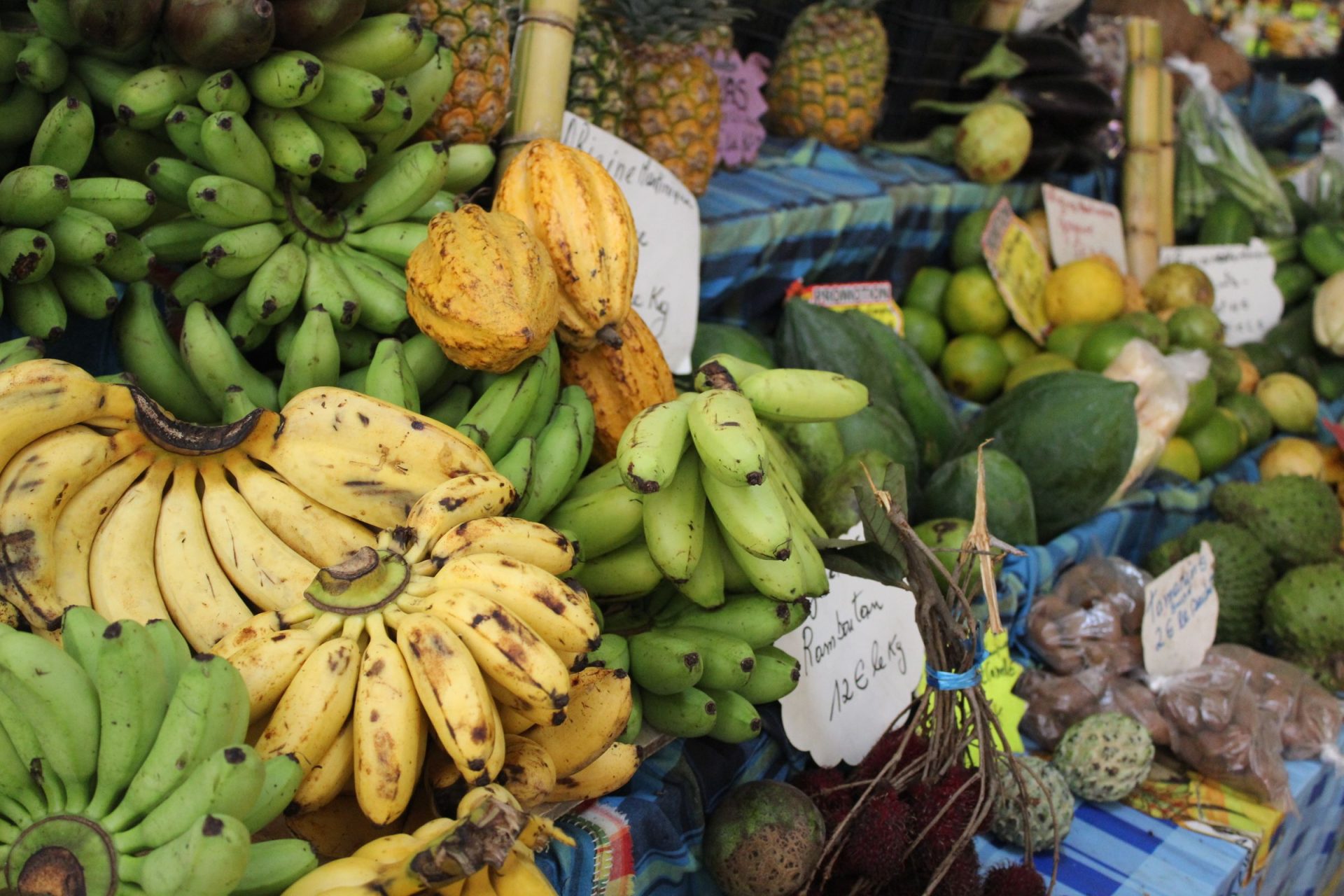 Tropical fruits including bananas and pineapples at an outdoor market