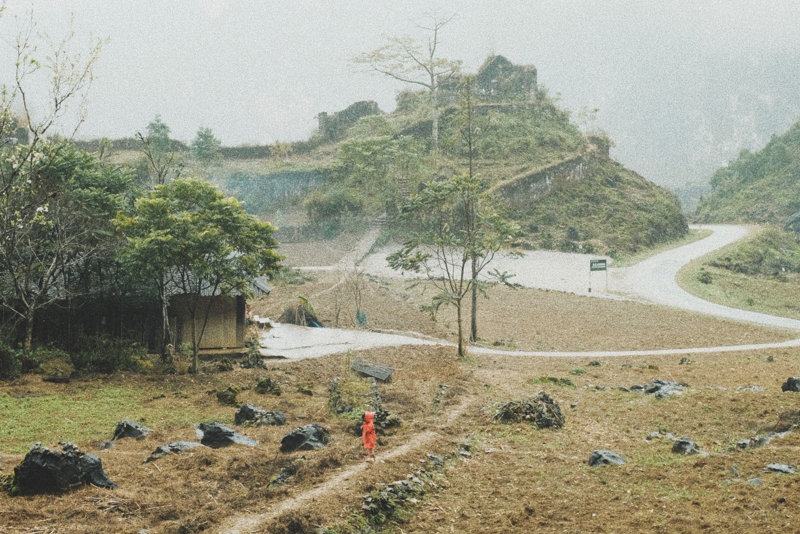 Limestone peaks rising behind dense green forest