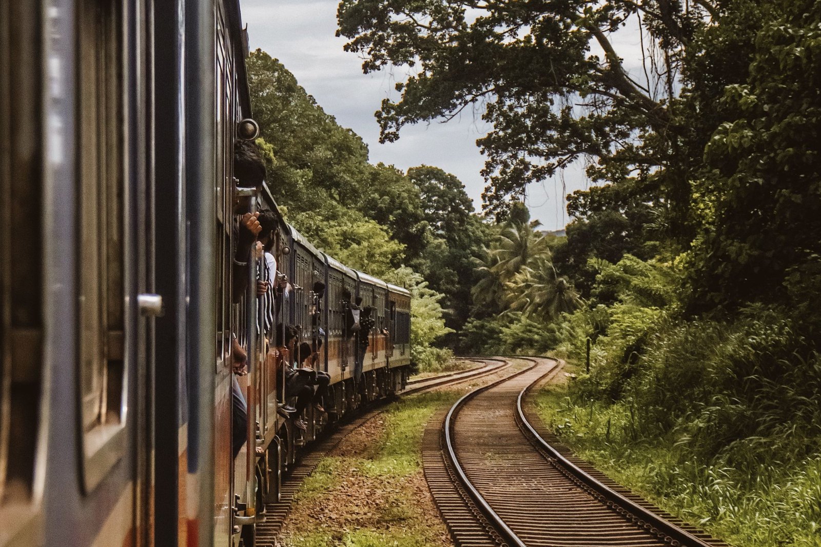 A passenger train running through green country